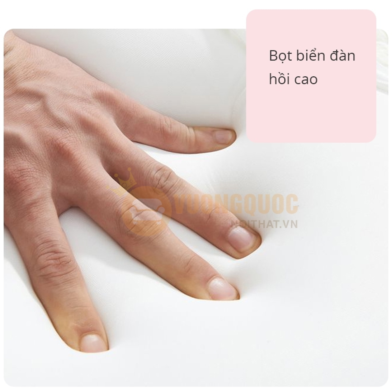 Giường ngủ công chúa khung gỗ tự nhiên FDCB02 bọt biển đàn hồi